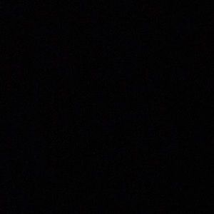 Meet your Posher, Sylvia